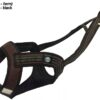 Zero DC Faster Harness Long Blue