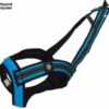 Zero DC Faster Harness Long Turquoise